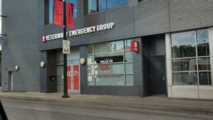 Veterinary Emergency Group - VEG, established in 2002.